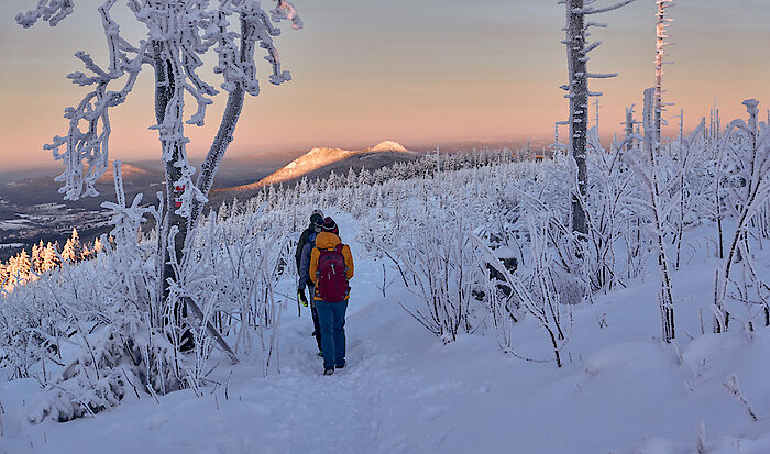 Winterwandern - Wintersport im Bayerischen Wald